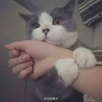 破天剑诀手游bt版下载