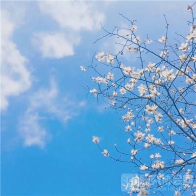 怀旧炸弹人官方版下载