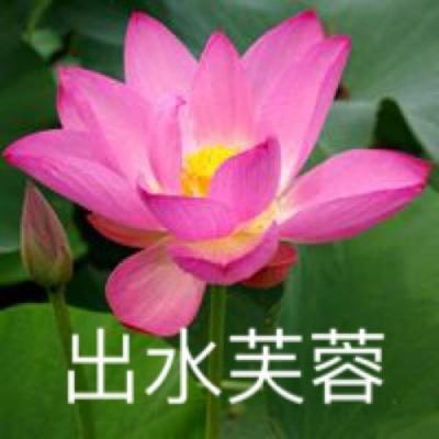 黎明重生手游下载